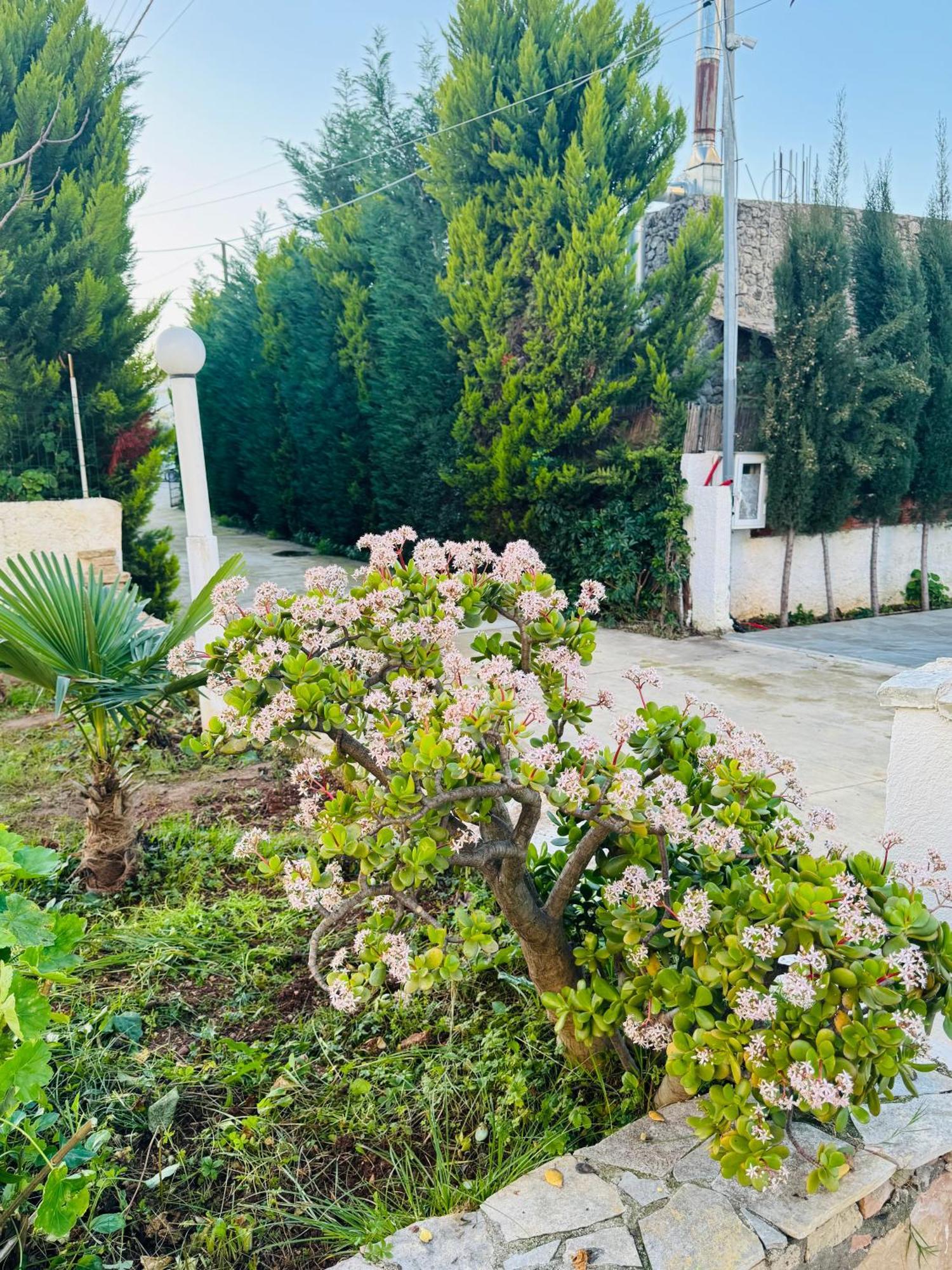 Central Garden Residence Sofia - Free Parking كساميل المظهر الخارجي الصورة