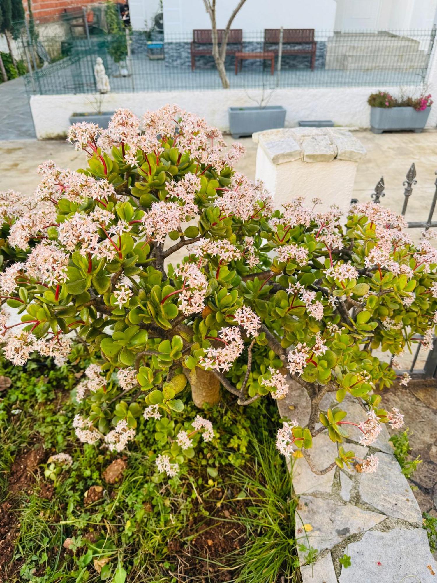 Central Garden Residence Sofia - Free Parking كساميل المظهر الخارجي الصورة